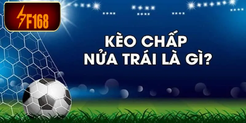 Cách đọc kèo bóng đá tại F168 0.5 sẽ không có trường hợp hòa tiền