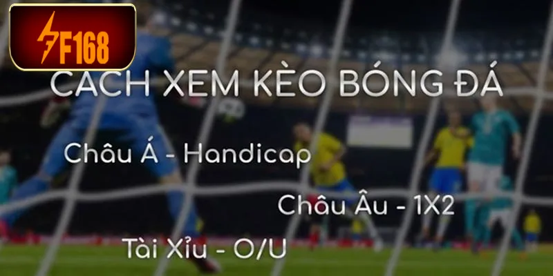 Sự quan trọng của kèo bóng đá